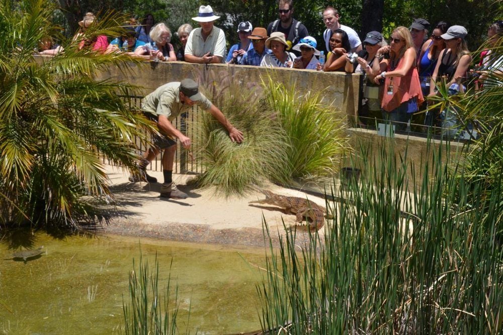 Symbio Wildlife Park - Thursday 15th October, 2020 Symbio Wildlife Park - Thursday 15th October, 2020