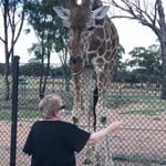 Dubbo Zoo - Zoofari Lodge Tour Image -6233b83cf15c6