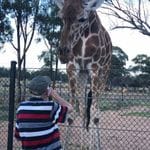 Dubbo Zoo - Zoofari Lodge Tour Image -6233b83d8691f