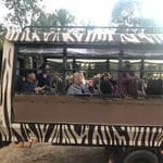 Dubbo Zoo - Zoofari Lodge Tour Image -6233b8453728b