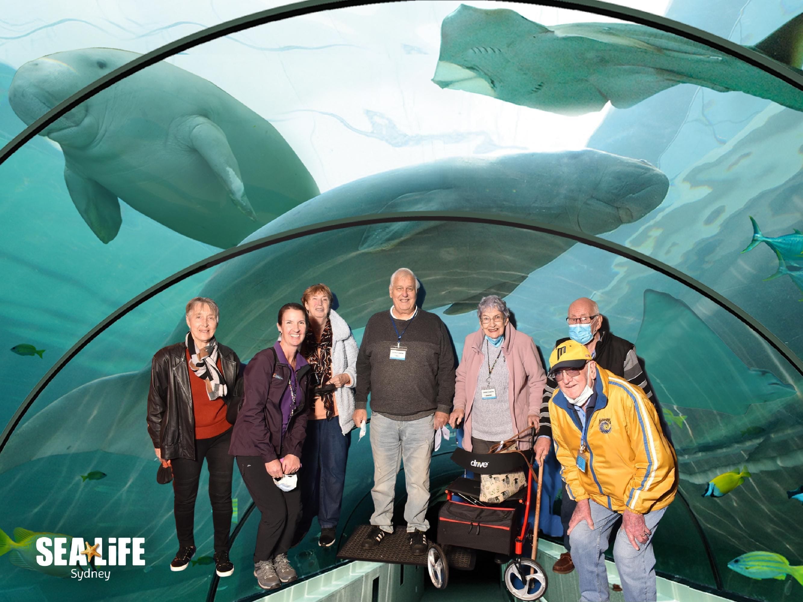 Sealife Sydney Aquarium - 12th July 2022 Image -62cd26b1824a0