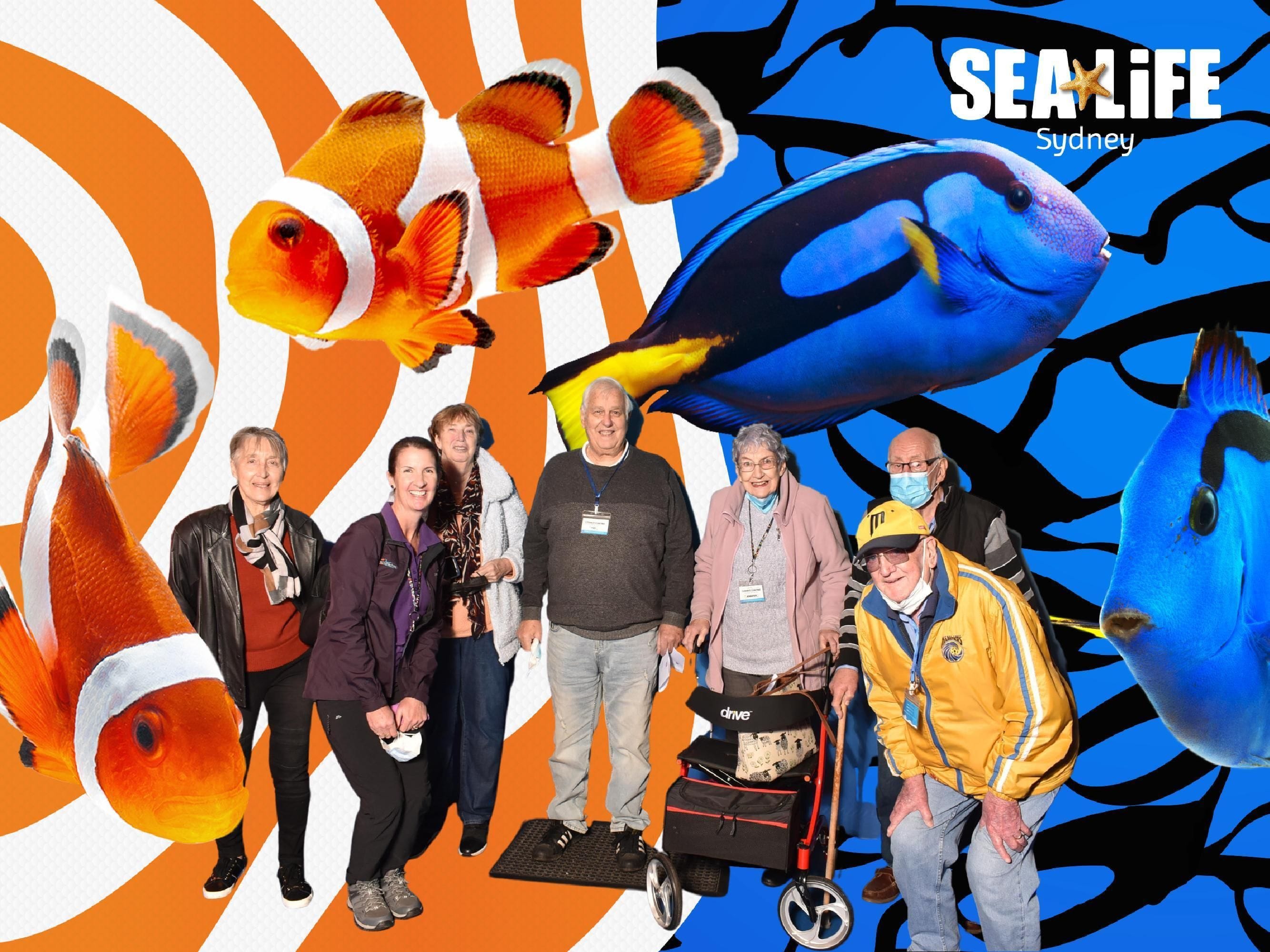 Sealife Sydney Aquarium - 12th July 2022 Image -62cd26b34af91