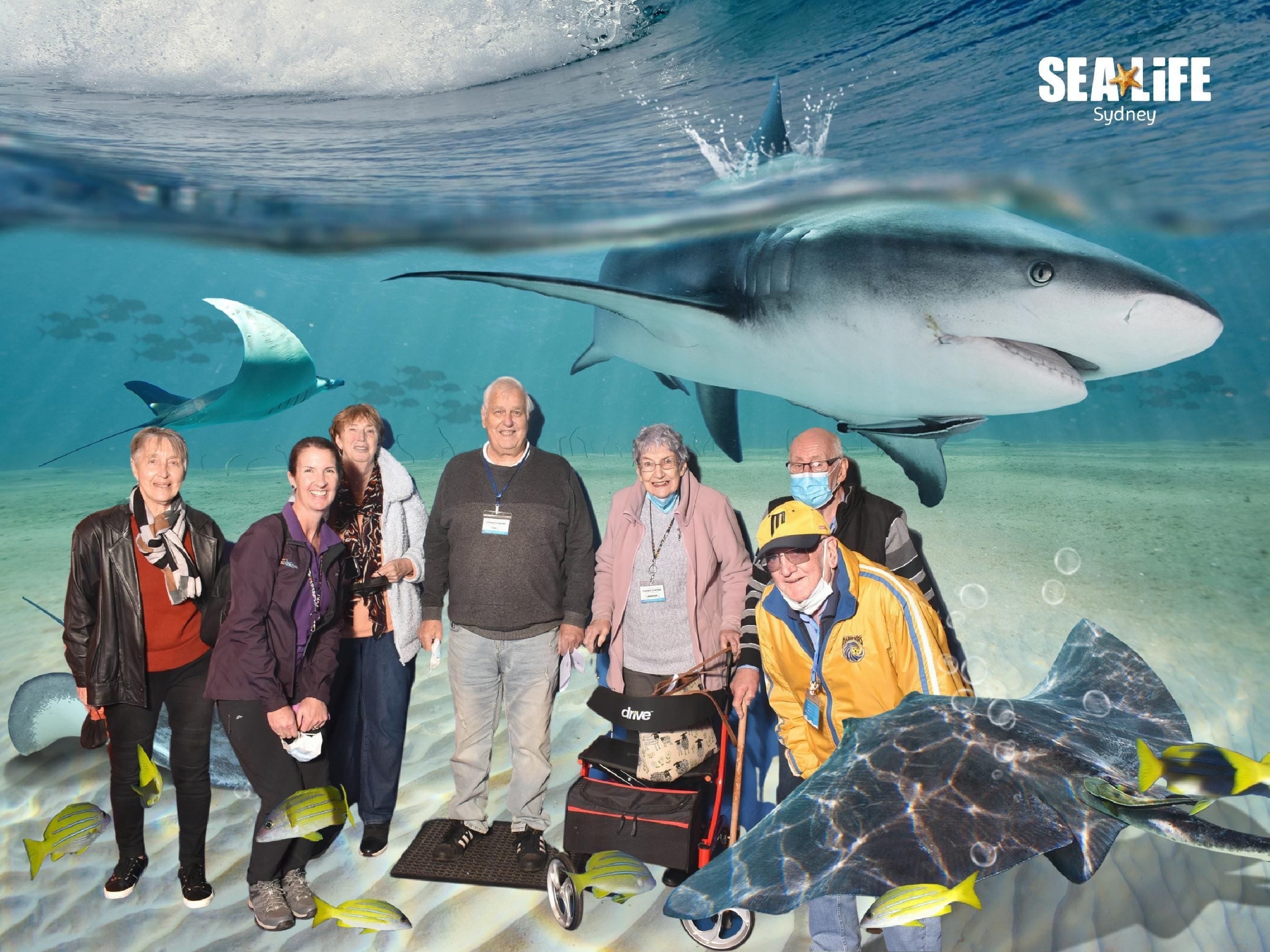 Sealife Sydney Aquarium - 12th July 2022 Image -62cd26b3ba6f0