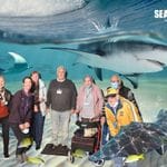 Sealife Sydney Aquarium - 12th July 2022 Image -62cd26b3ba6f0