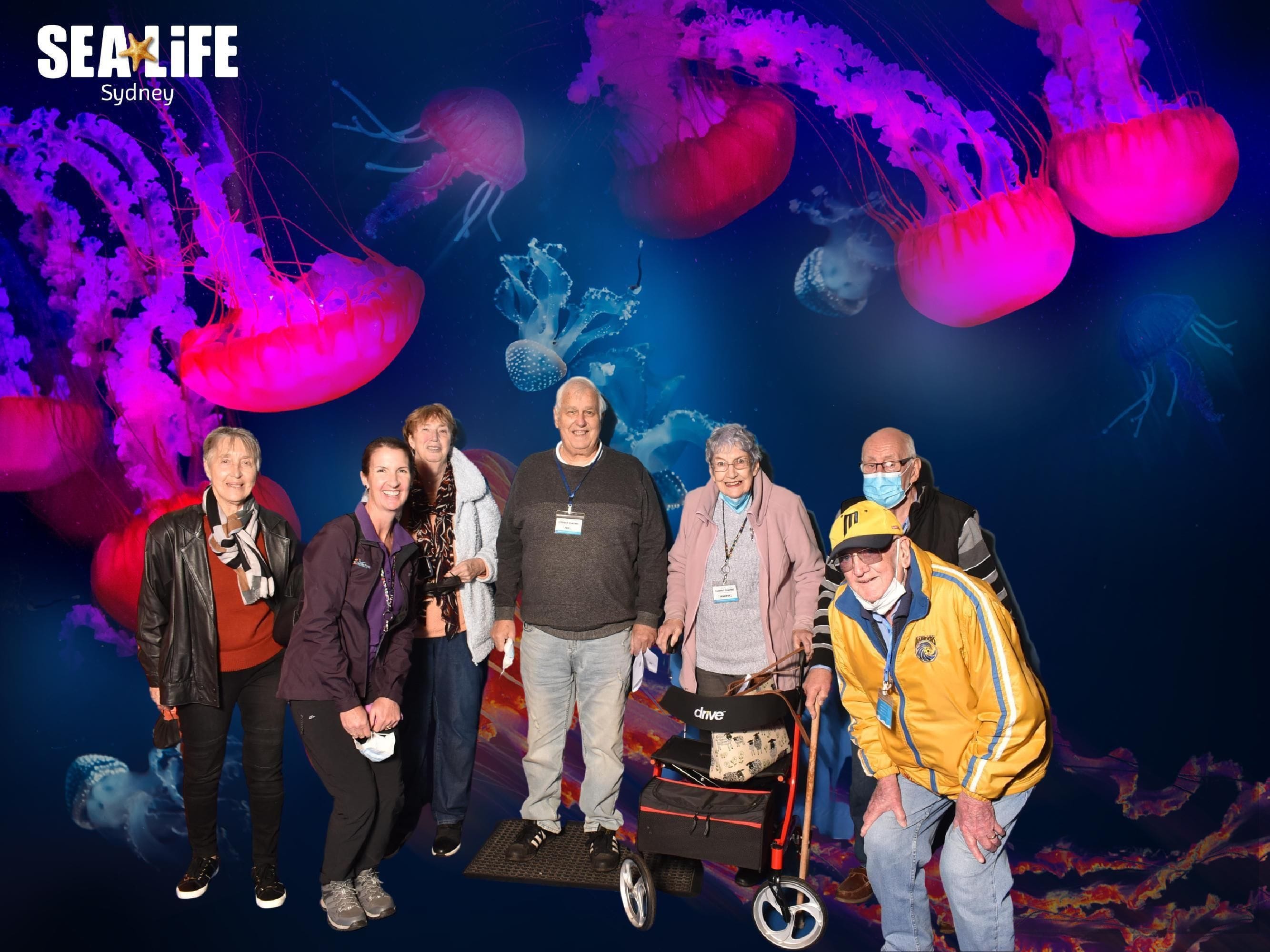 Sealife Sydney Aquarium - 12th July 2022 Image -62cd26b4200aa