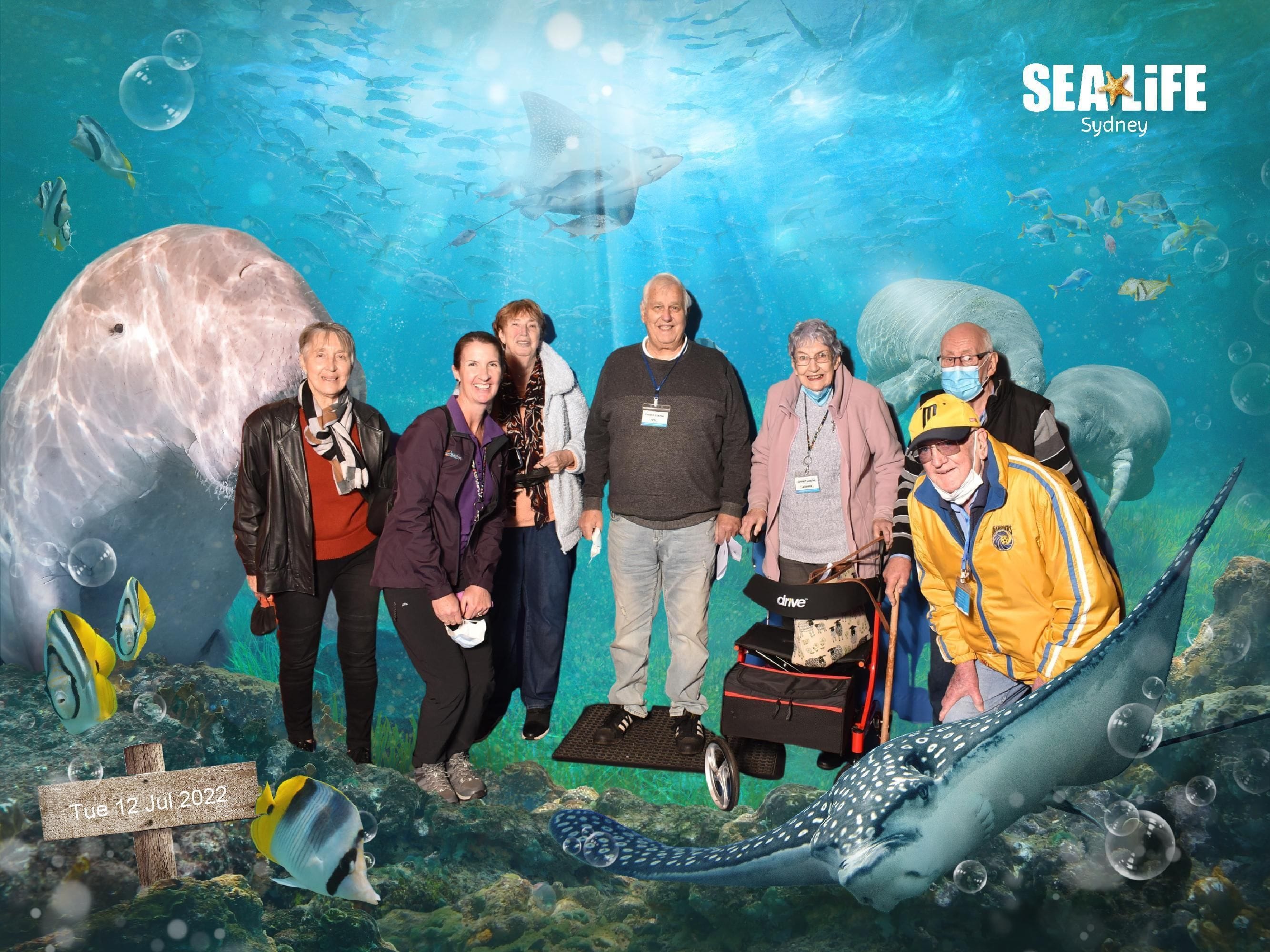 Sealife Sydney Aquarium - 12th July 2022 Image -62cd26b4968c9