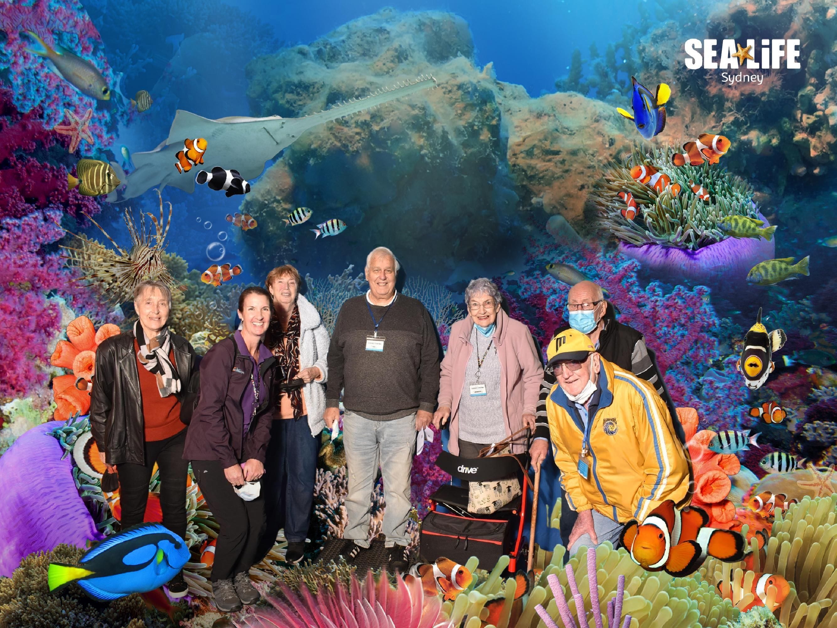 Sealife Sydney Aquarium - 12th July 2022 Image -62cd26b5700f0