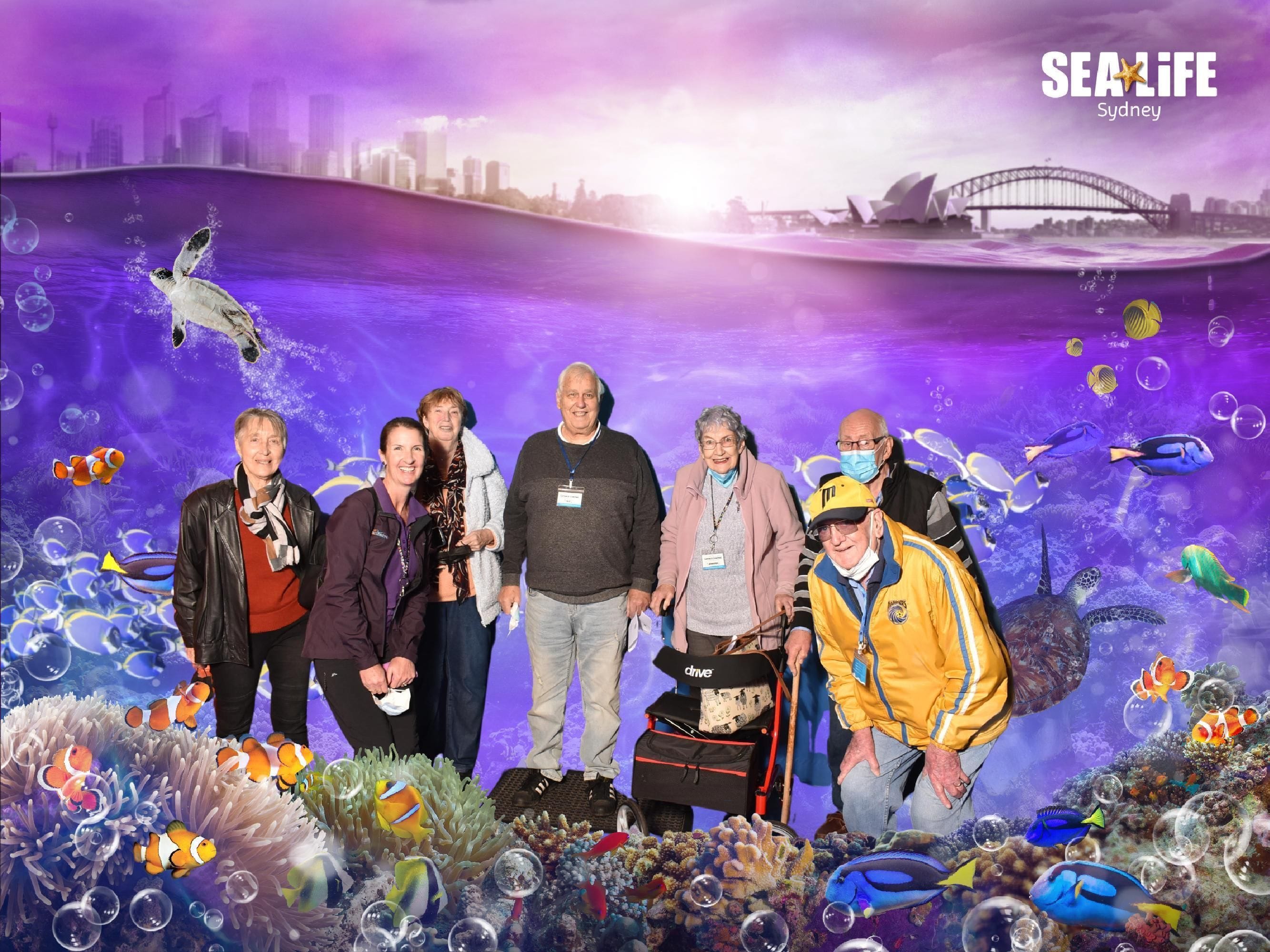 Sealife Sydney Aquarium - 12th July 2022 Image -62cd26b6293cd