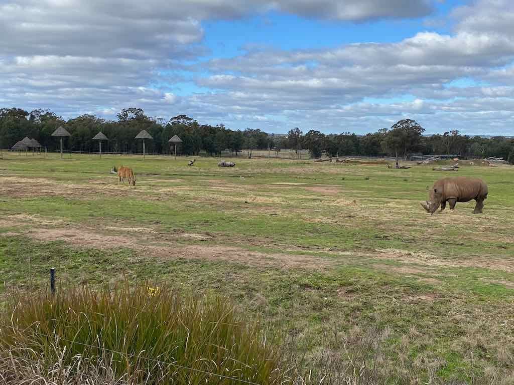 August 2022 Dubbo Zoofari Tour Image -630aac231cb7c