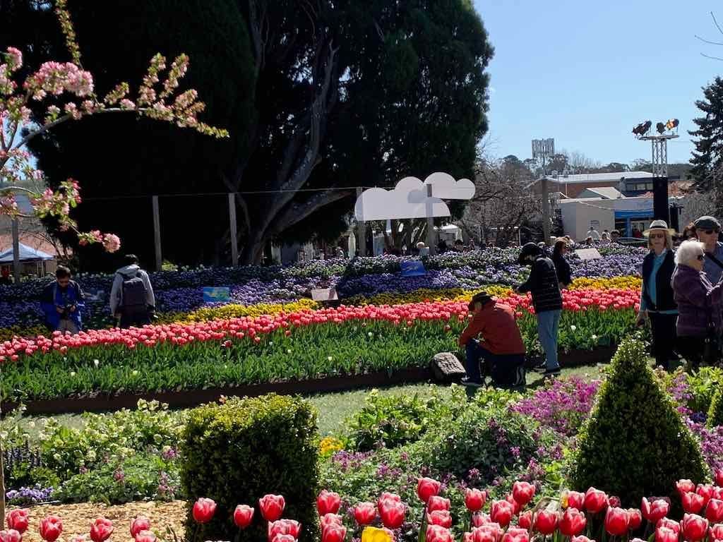 September 2022 Canberra Floriade Image -632cf52ae79d7