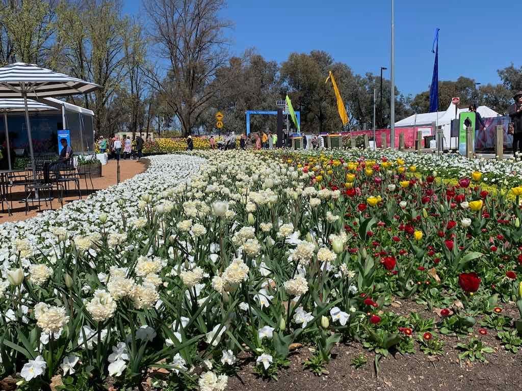 September 2022 Canberra Floriade Image -632cf531d143c