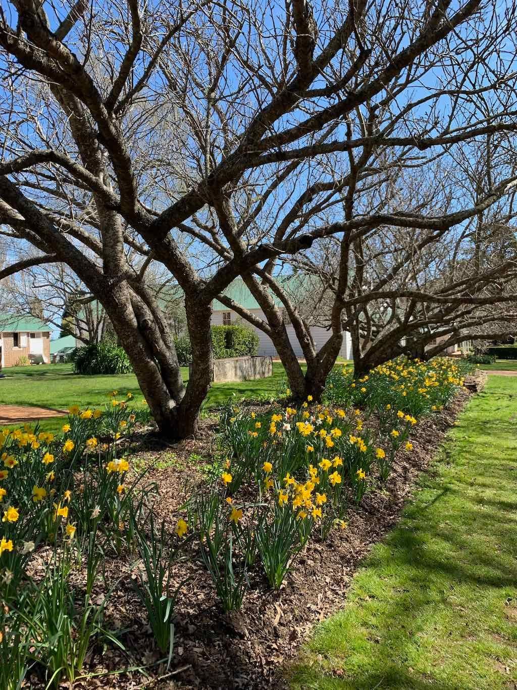 Redford Historic Home Bowral 2022 Redford Historic Home Bowral 2022