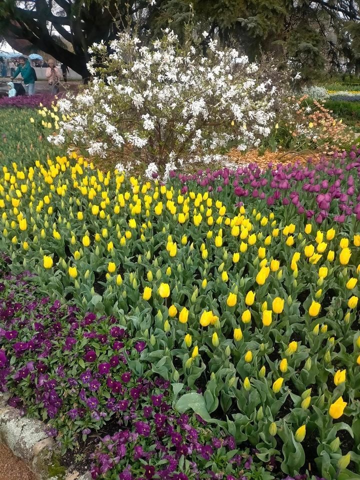 Corbett Gardens Bowral 2022 Corbett Gardens Bowral 2022