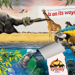 Sydney Zoo November Public Day Tour November 2022