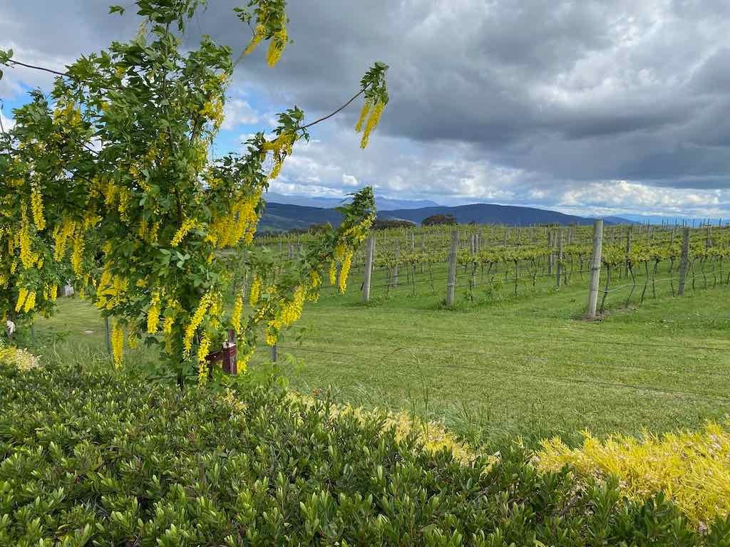 Braymont Gardens Image -637aa26948a47