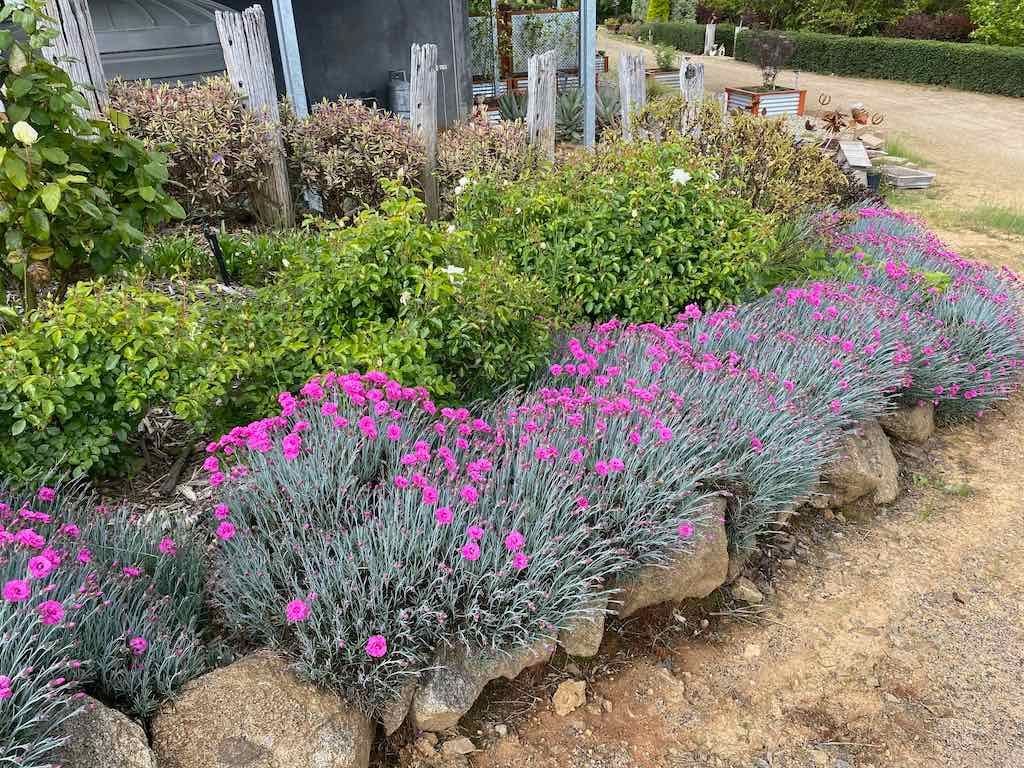 Braymont Gardens Image -637aa2698a8f2