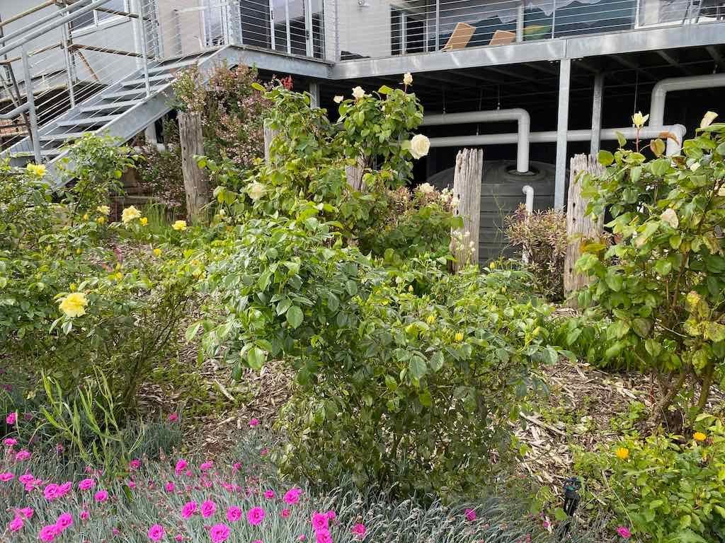 Braymont Gardens Image -637aa269e62ed