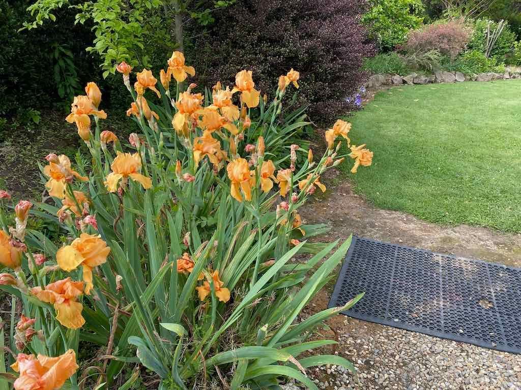 Braymont Gardens Image -637aa26a8148d