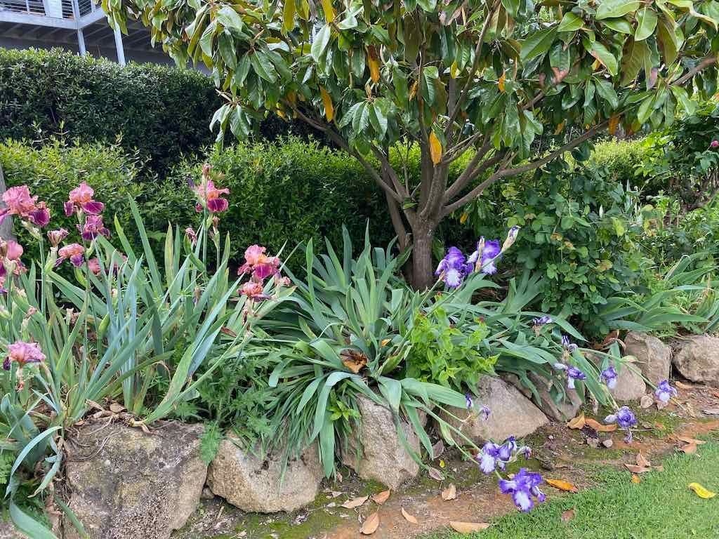 Braymont Gardens Image -637aa26ad4ca6