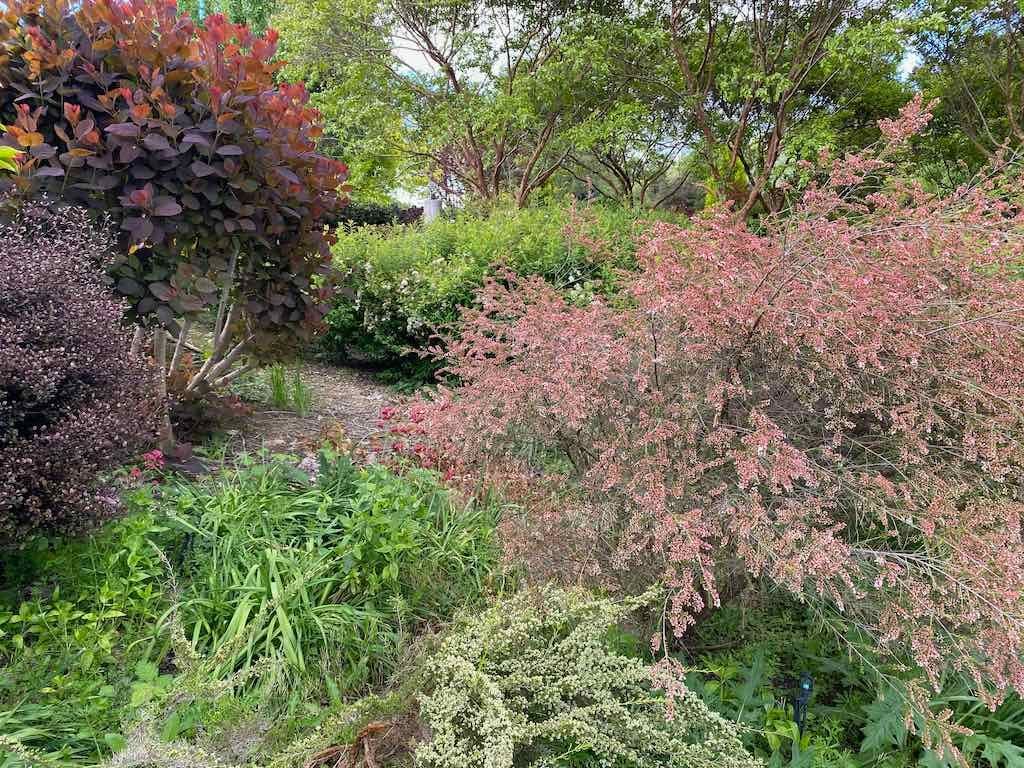 Braymont Gardens Image -637aa26b3540a