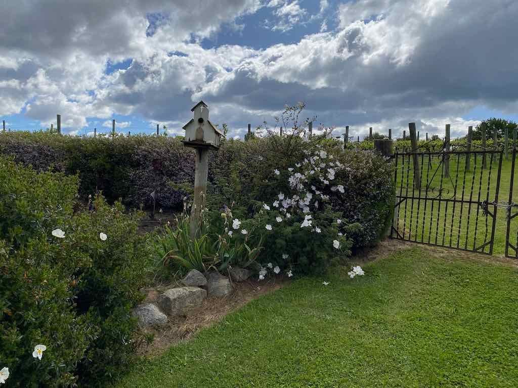 Braymont Gardens Image -637aa26bc6d4c