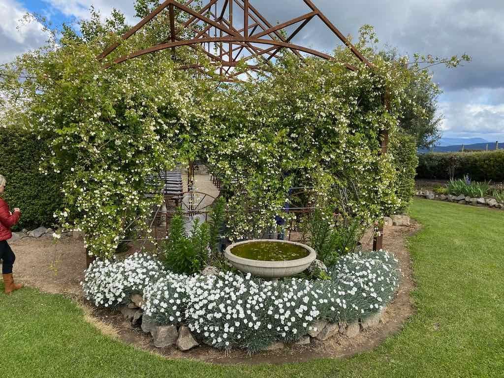 Braymont Gardens Image -637aa26c22157