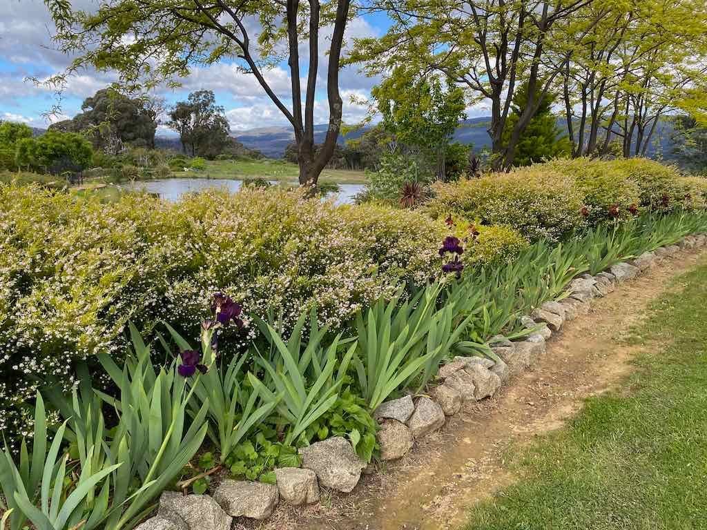 Braymont Gardens Image -637aa26c5f0da