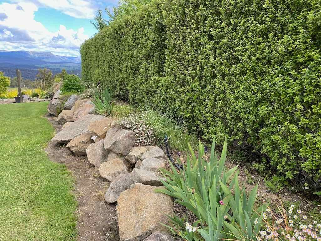 Braymont Gardens Image -637aa26cadabe