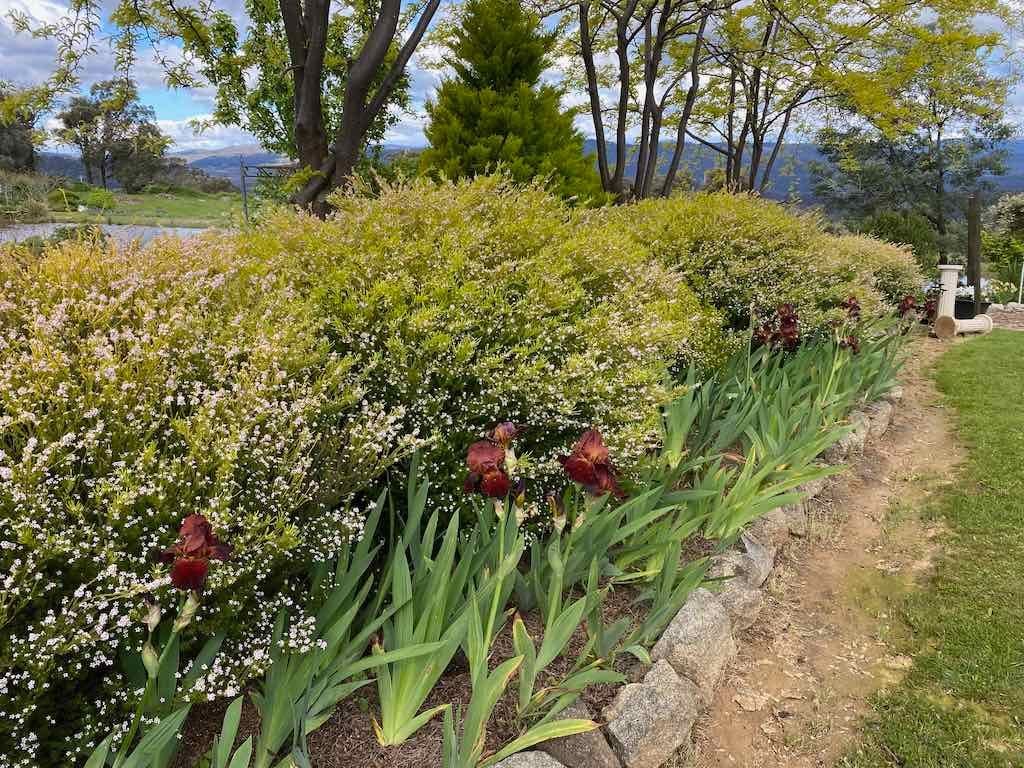 Braymont Gardens Image -637aa26d016eb