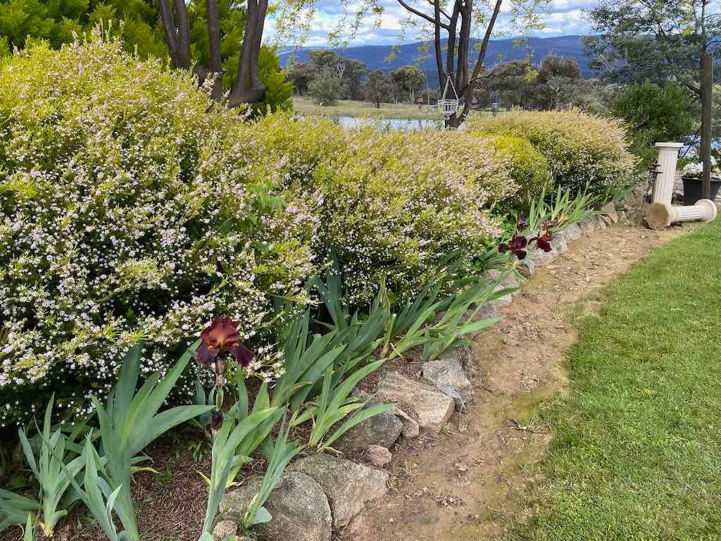 Braymont Gardens Image -637aa26d41f2a