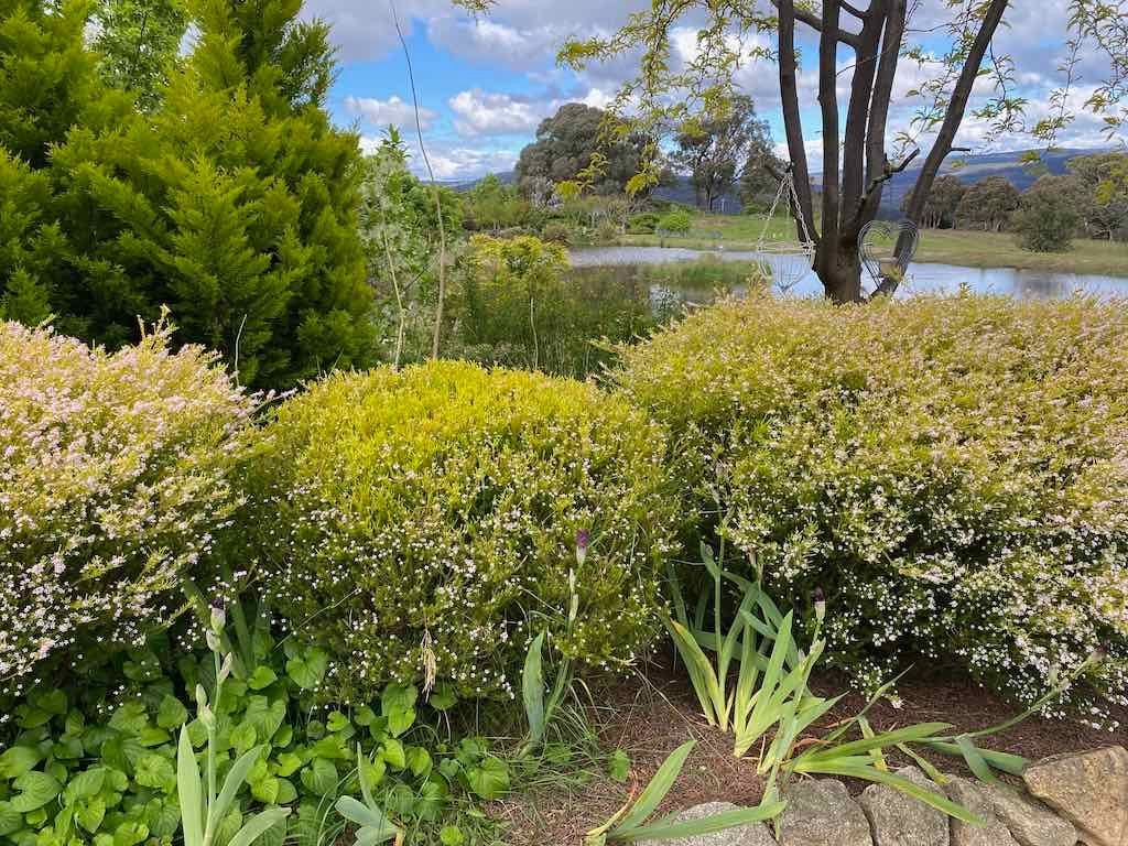 Braymont Gardens Image -637aa26d89b00