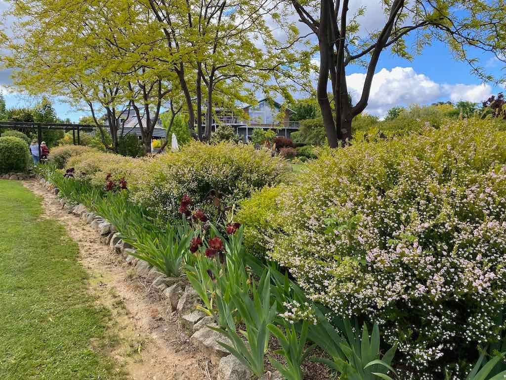 Braymont Gardens Image -637aa26e2c586