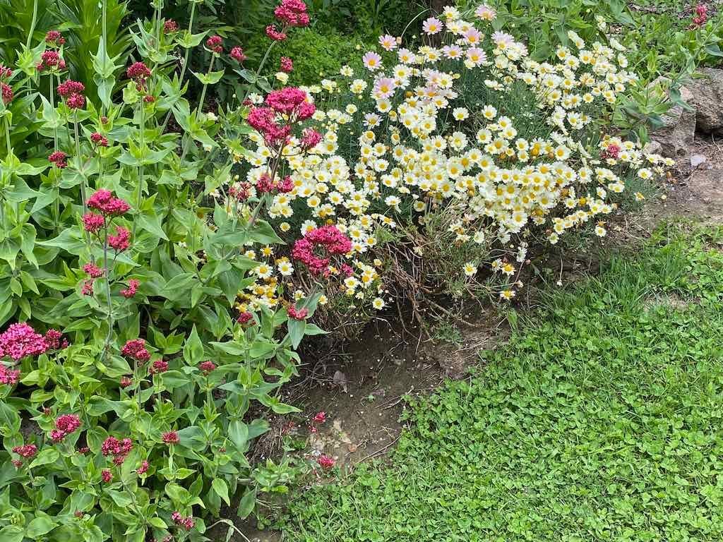 Braymont Gardens Image -637aa272ad3c3