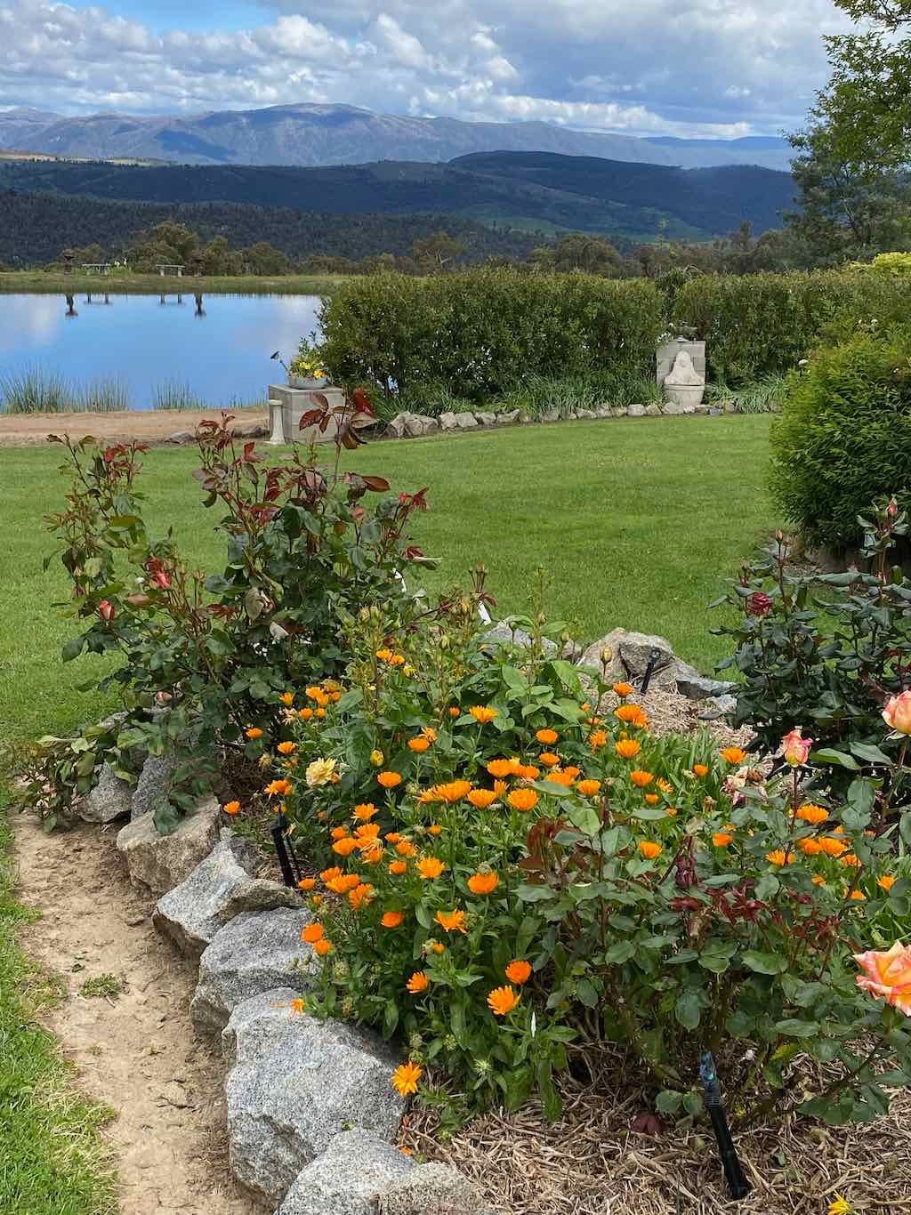 Braymont Gardens Image -637aa273c20cf