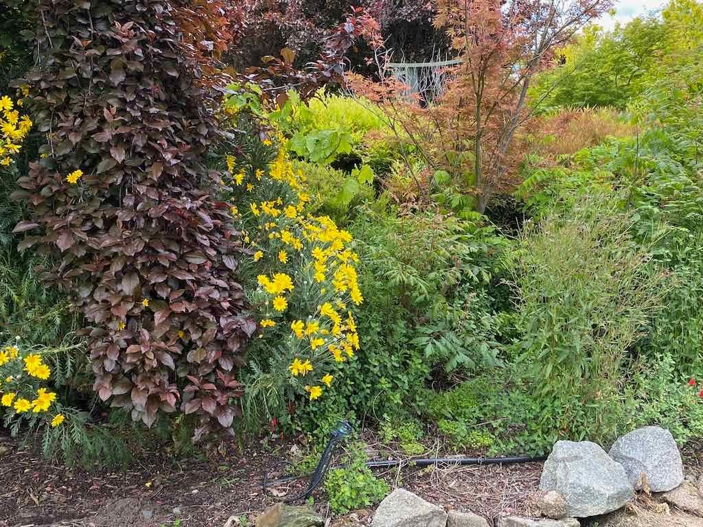 Braymont Gardens Image -637aa27425401