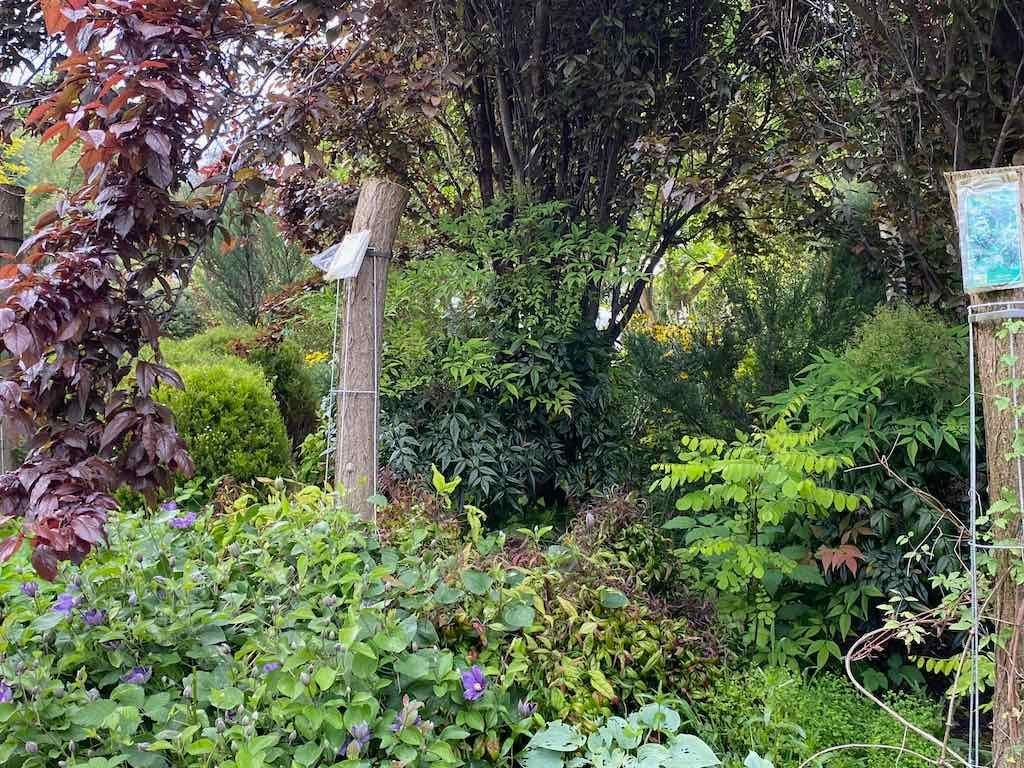 Braymont Gardens Image -637aa274f137b