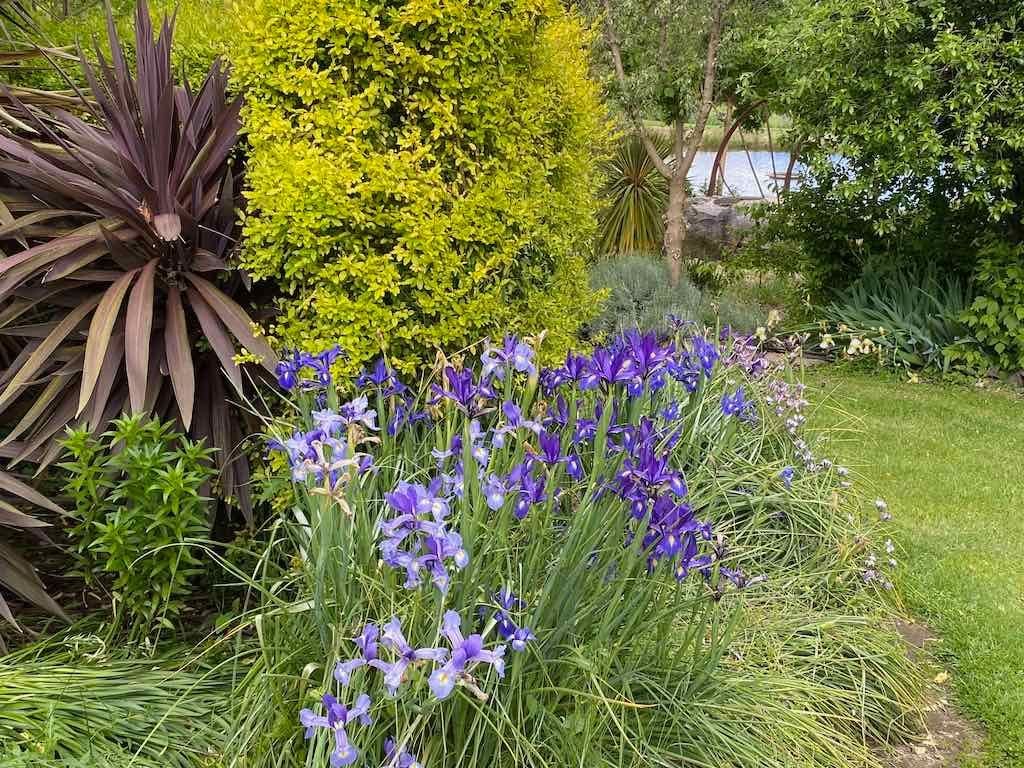 Braymont Gardens Image -637aa27584e32