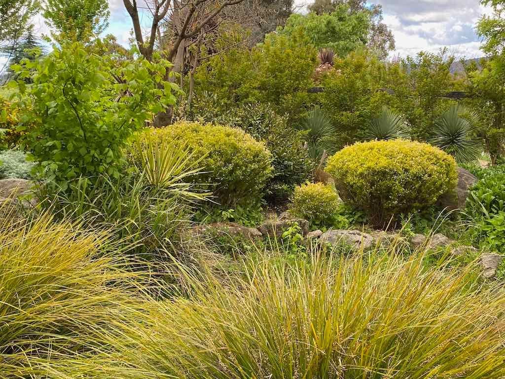 Braymont Gardens Image -637aa27621709