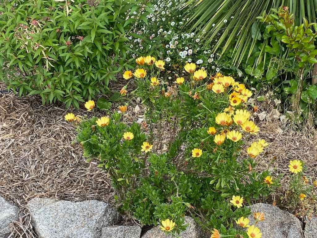 Braymont Gardens Image -637aa2780195d