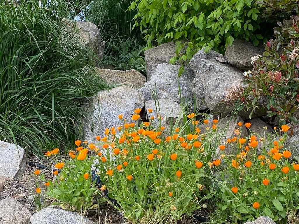 Braymont Gardens Image -637aa27848dee