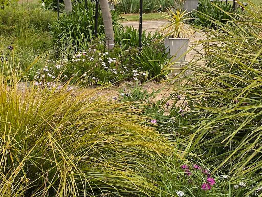 Braymont Gardens Image -637aa279ba4e6