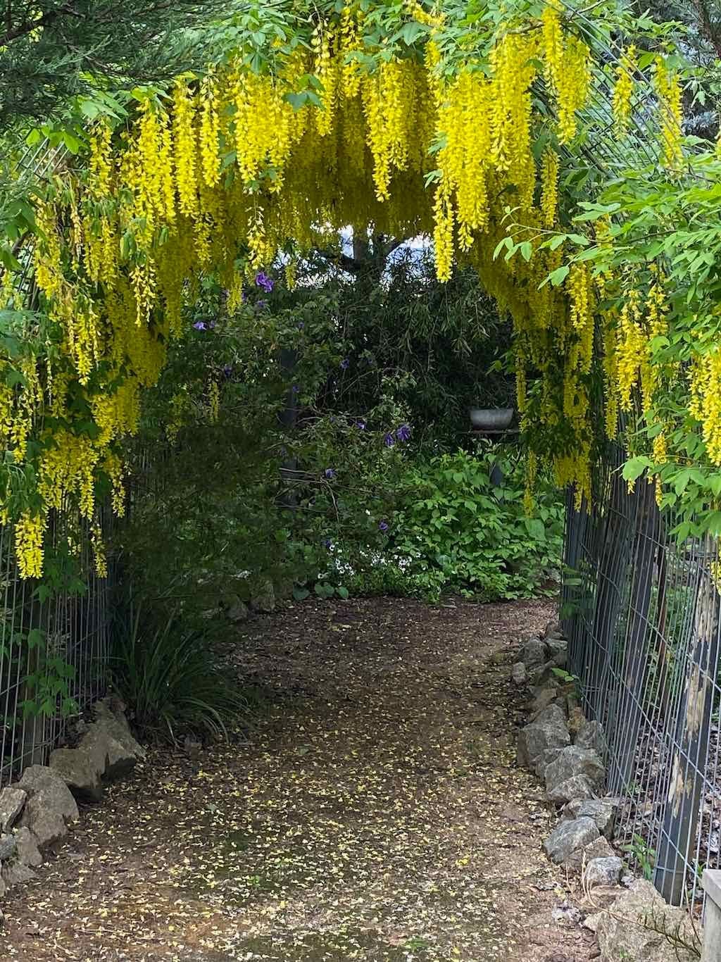 Braymont Gardens Image -637aa27aa182f