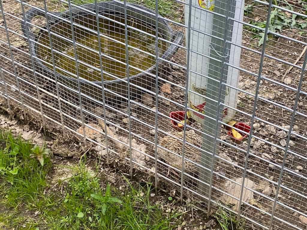 Braymont Gardens Image -637aa27ae7868