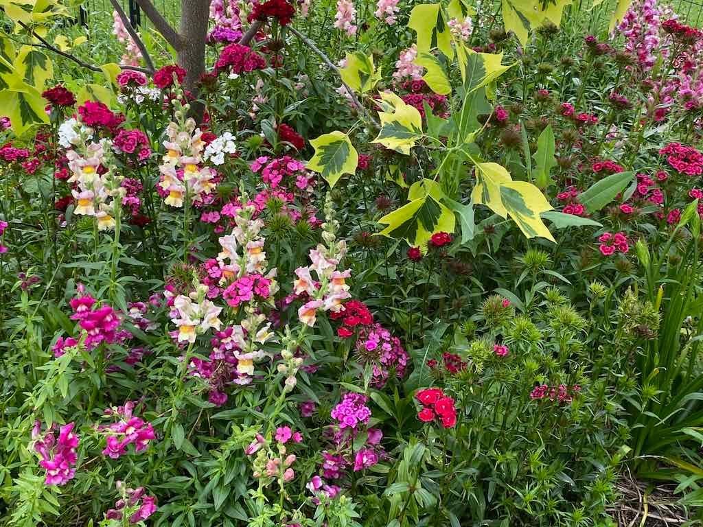 Braymont Gardens Image -637aa27dcafed