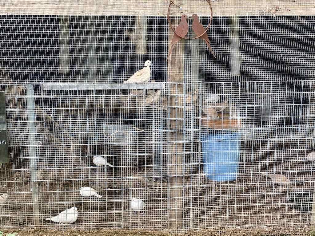 Braymont Gardens Image -637aa27e1491f