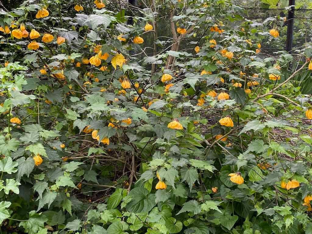 Braymont Gardens Image -637aa27e5a6f6