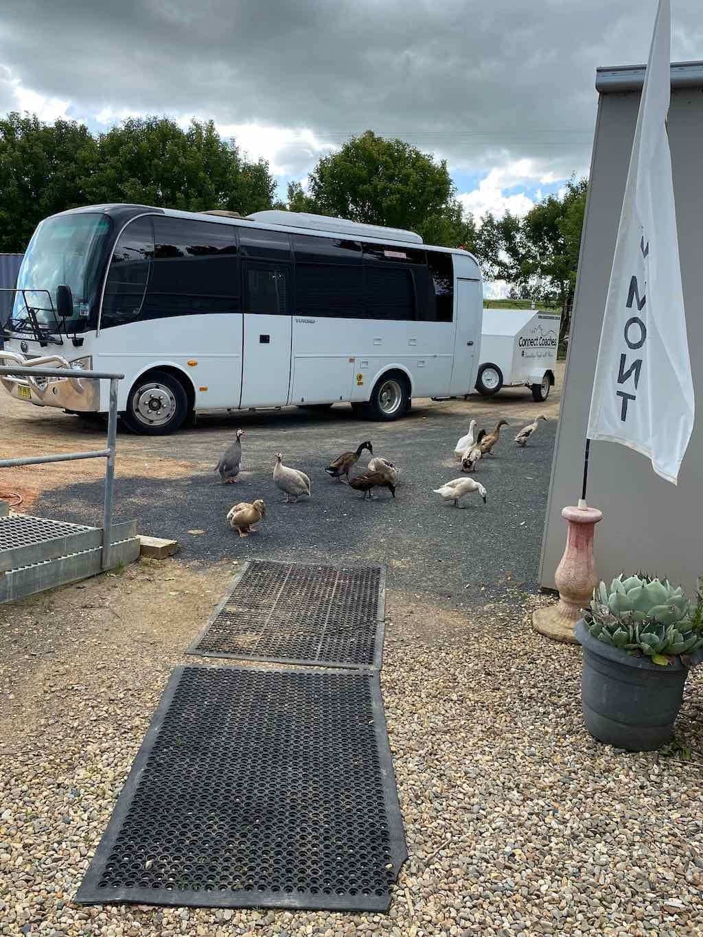 Braymont Gardens Image -637aa27f2bdb6