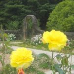 Breeholds Gardens - Mount Wilson