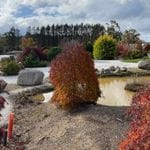 Goryu Japanese Garden Image -645fff3d8ea0e