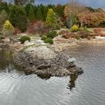 Goryu Japanese Garden Image -645fff414bf56
